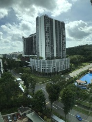Hillview Park (D23), Condominium #157763732
